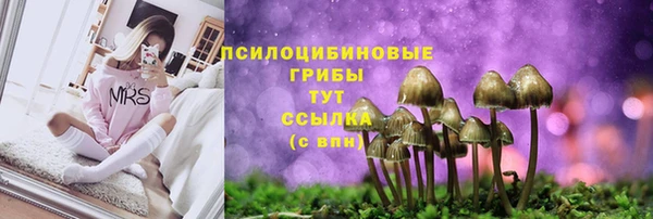 каннабис Абаза