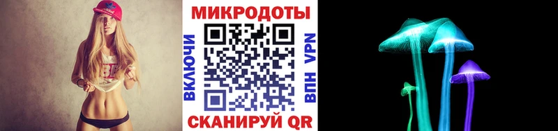 Галлюциногенные грибы Psilocybe Александров