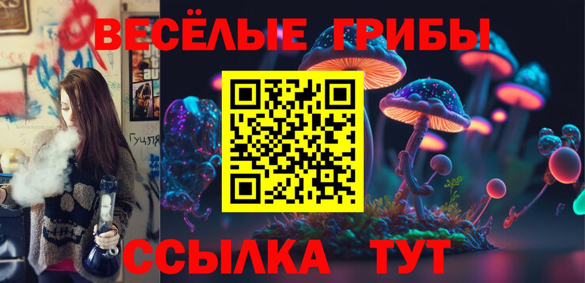 Галлюциногенные грибы Psilocybine cubensis Александров