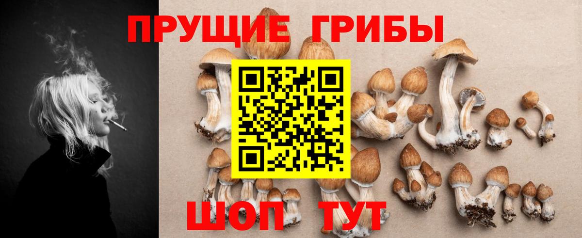 Псилоцибиновые грибы Magic Shrooms  Вход с VPN  Александров 